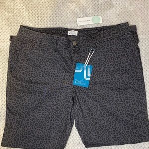 Market & Spruce Rosabel Skinny Printed Pants